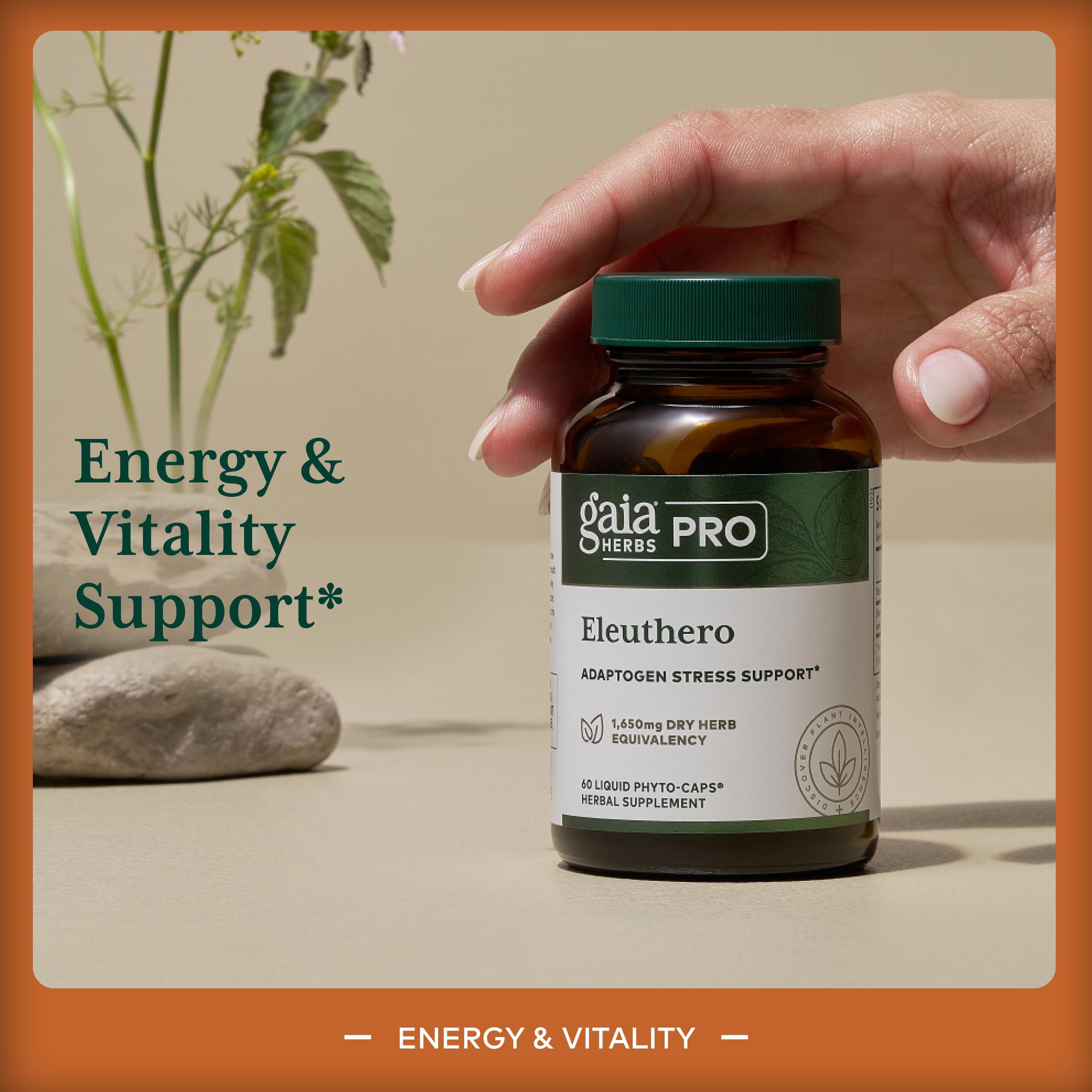 Gaia Herbs PRO Eleuthero 60 Vegan Capsules with packaging