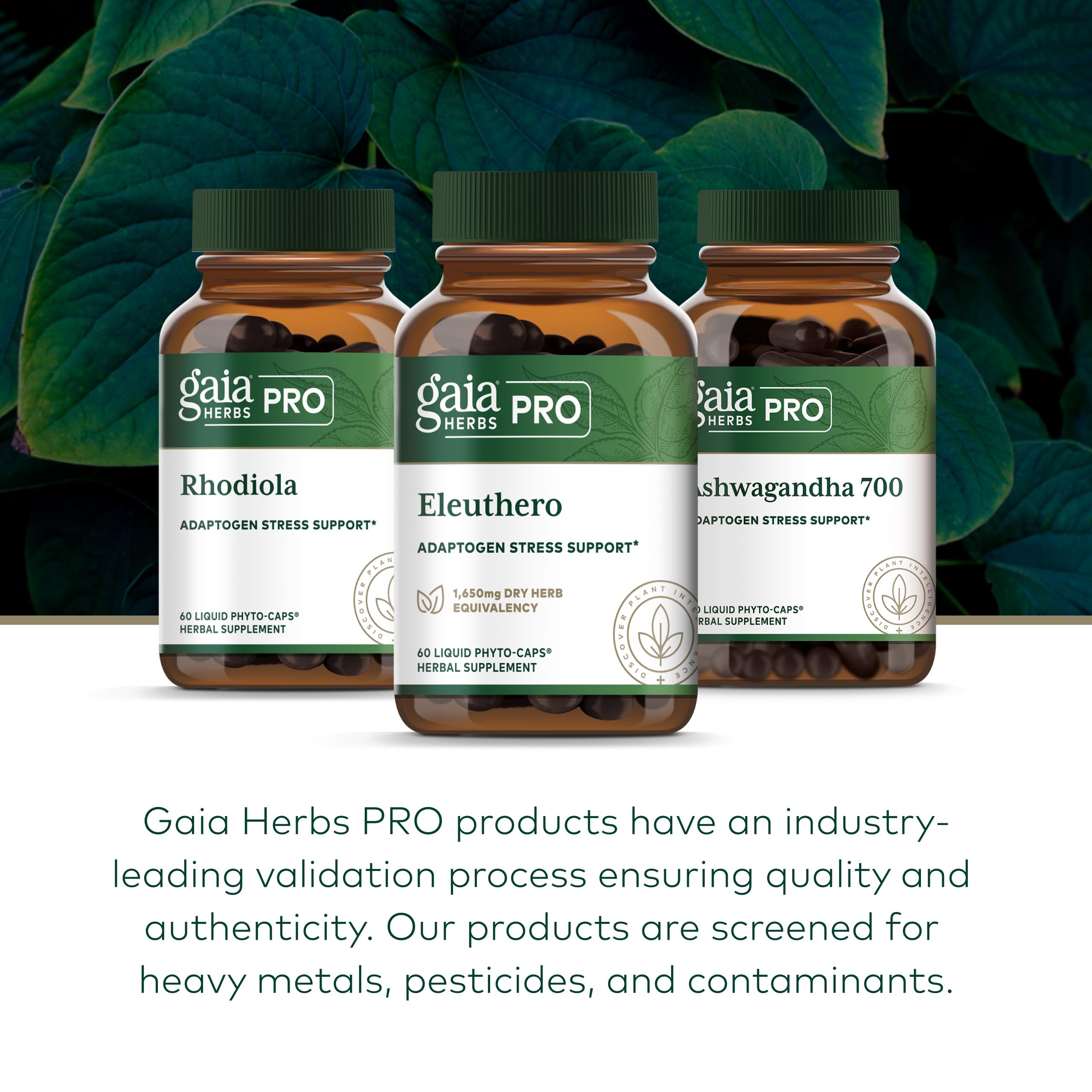Gaia Herbs PRO Eleuthero bottle on a wooden table