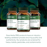 Gaia Herbs PRO Eleuthero bottle on a wooden table