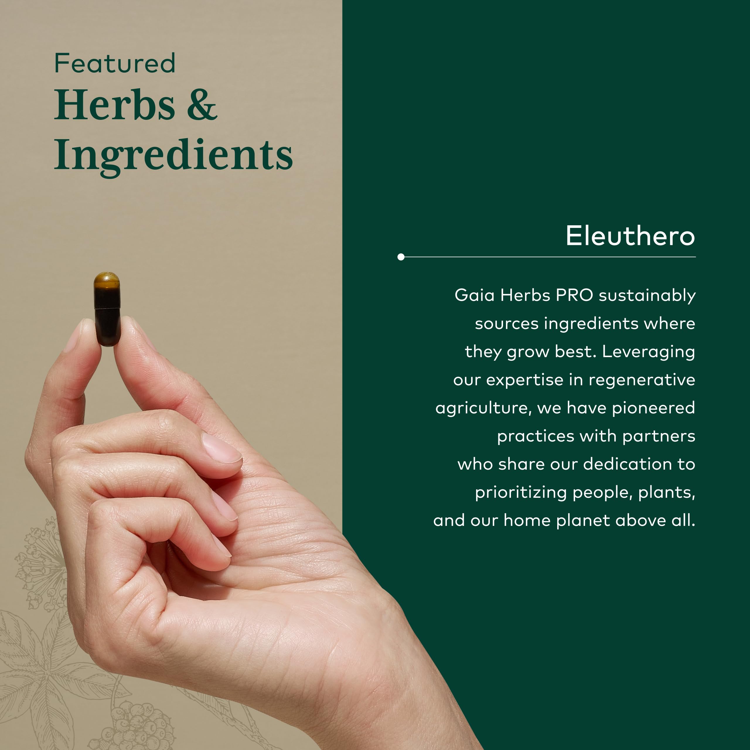 Gaia Herbs PRO Eleuthero capsule close-up
