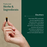 Gaia Herbs PRO Eleuthero capsule close-up