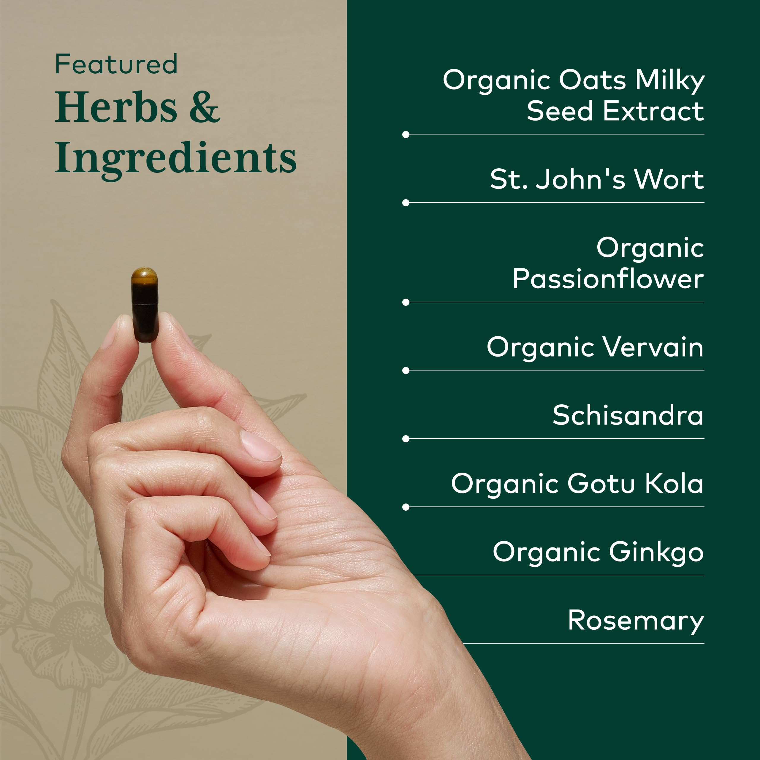 Gaia Herbs PRO Emotional Balance St. John's Wort supplement capsule close-up