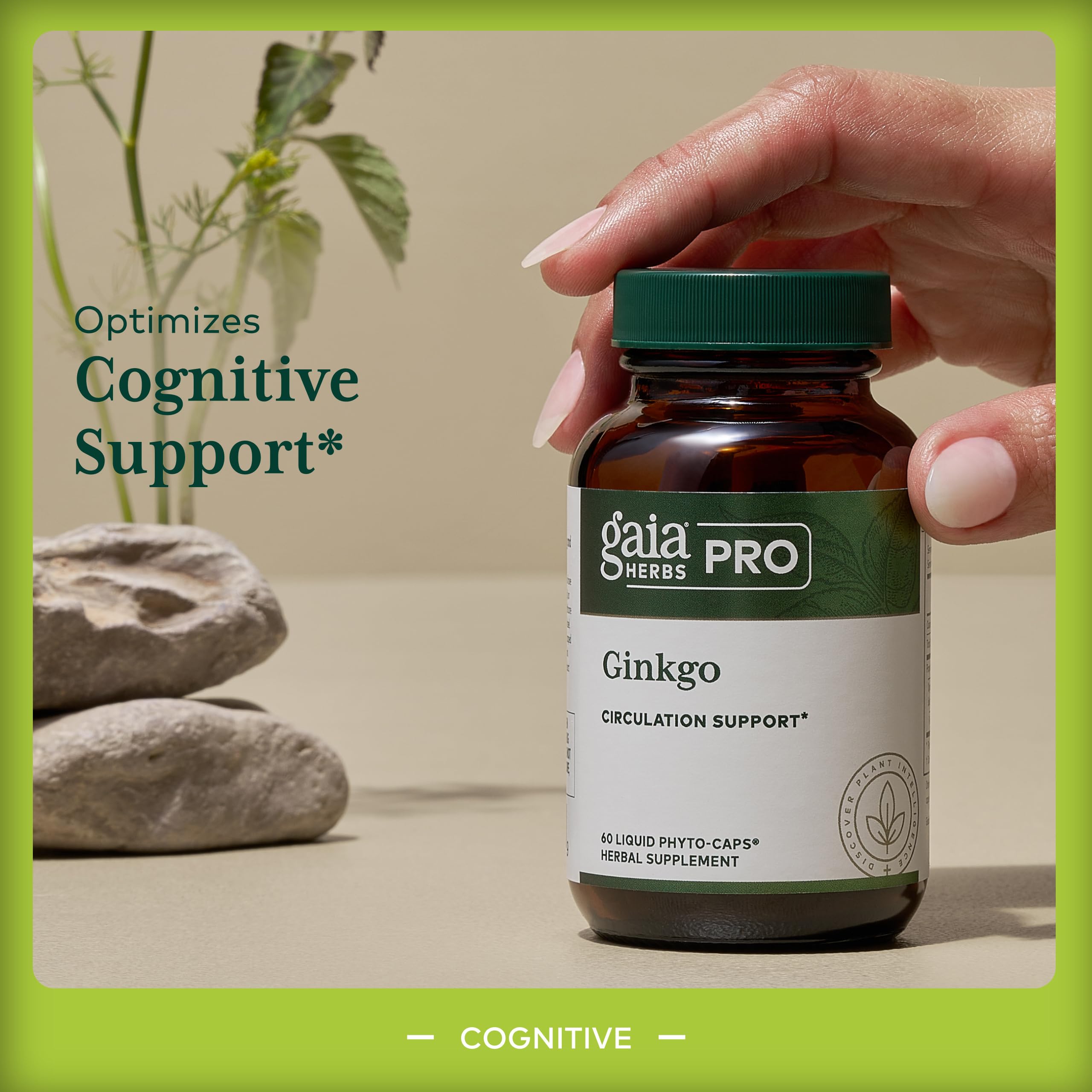 Gaia Herbs PRO Ginkgo Biloba capsules on a wooden surface
