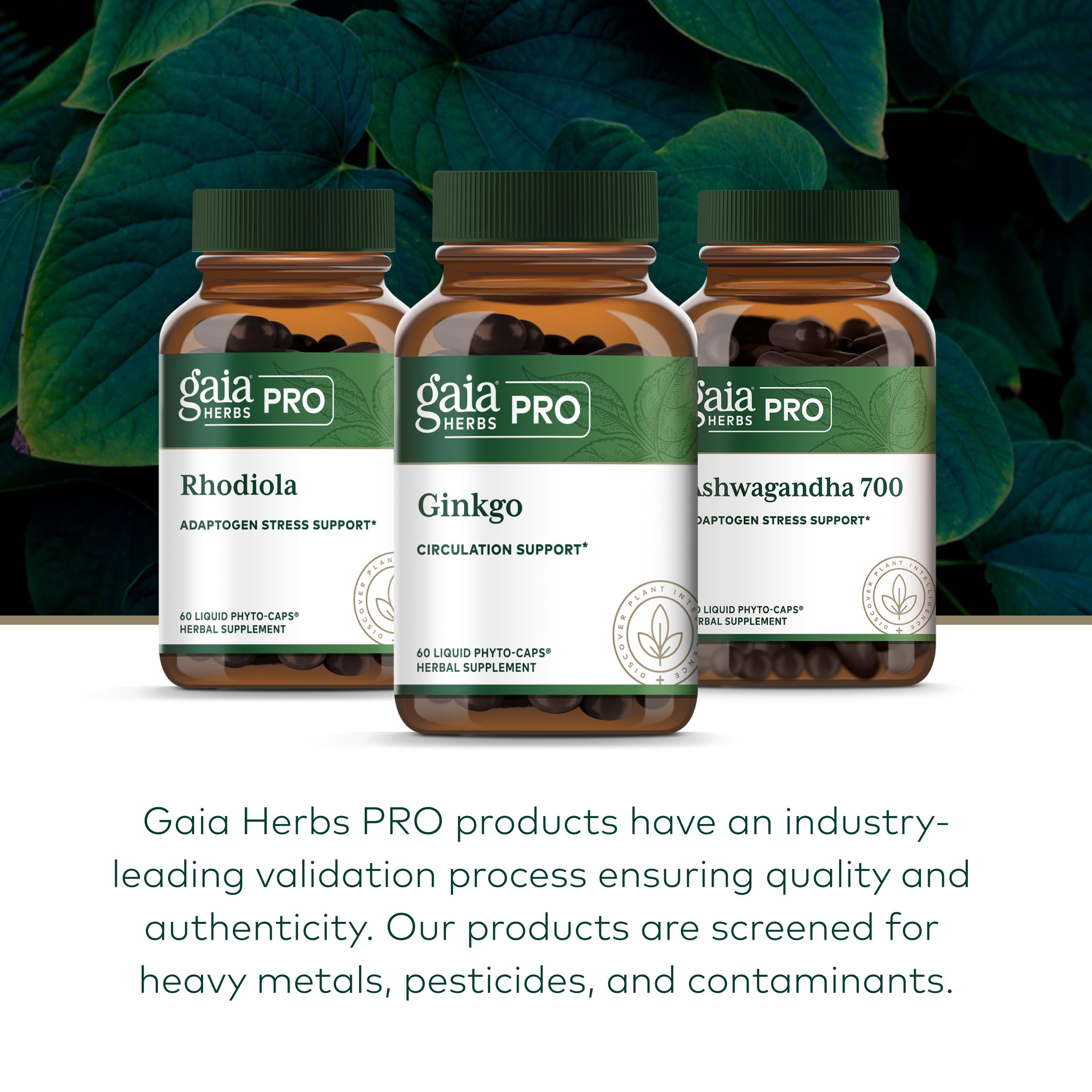 Gaia Herbs PRO Ginkgo Biloba supplement bottle back view