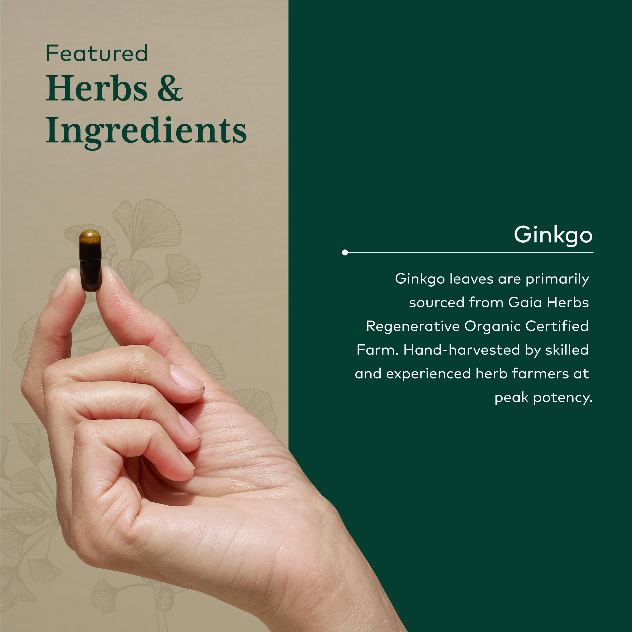 Gaia Herbs PRO Ginkgo Biloba supplement ingredients list