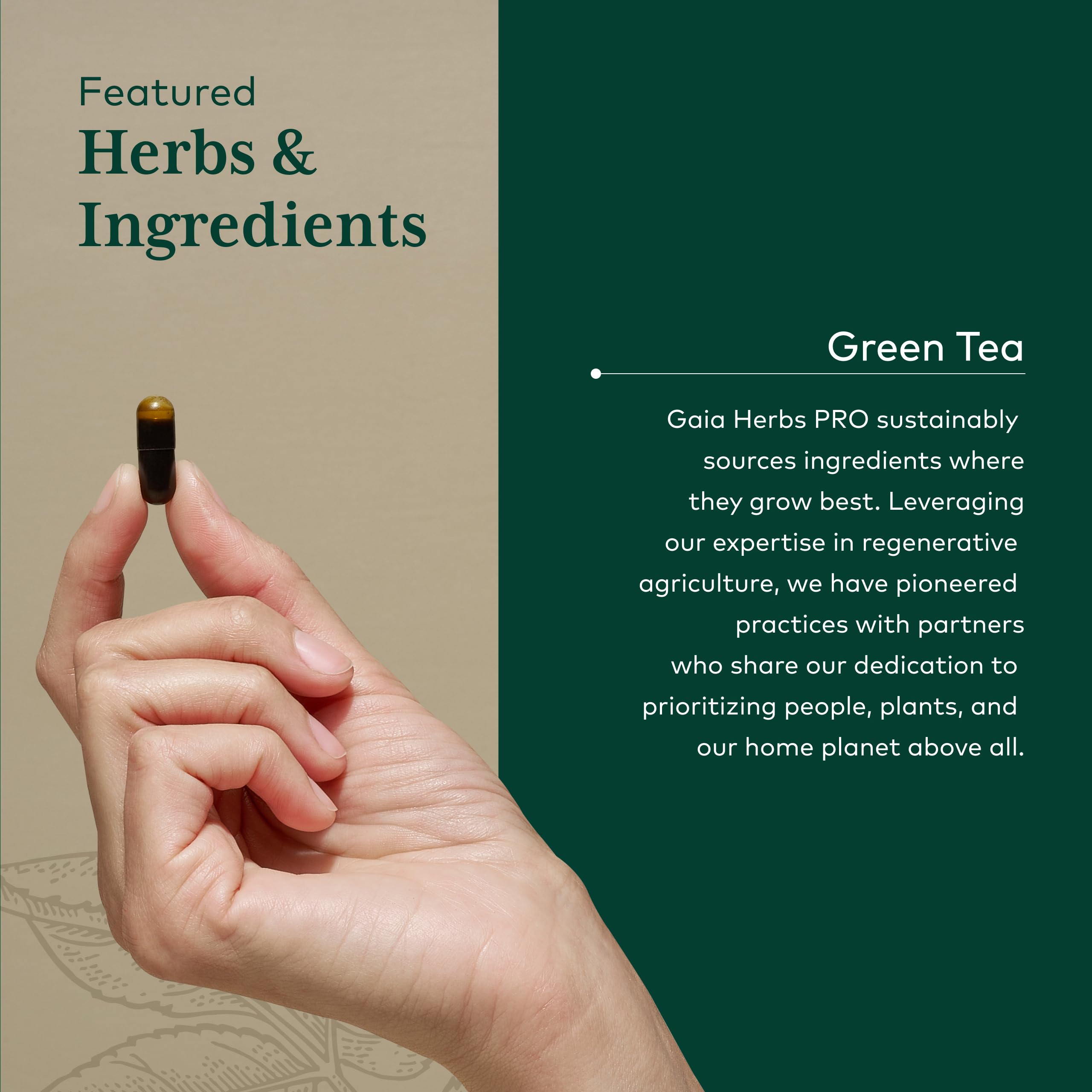 Gaia Herbs PRO Green Tea Extract packaging details