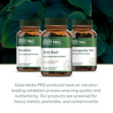 Gaia Herbs PRO Holy Basil Supplement 170g bottle with herbs background