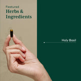 Gaia Herbs PRO Holy Basil Supplement 170g ingredients list