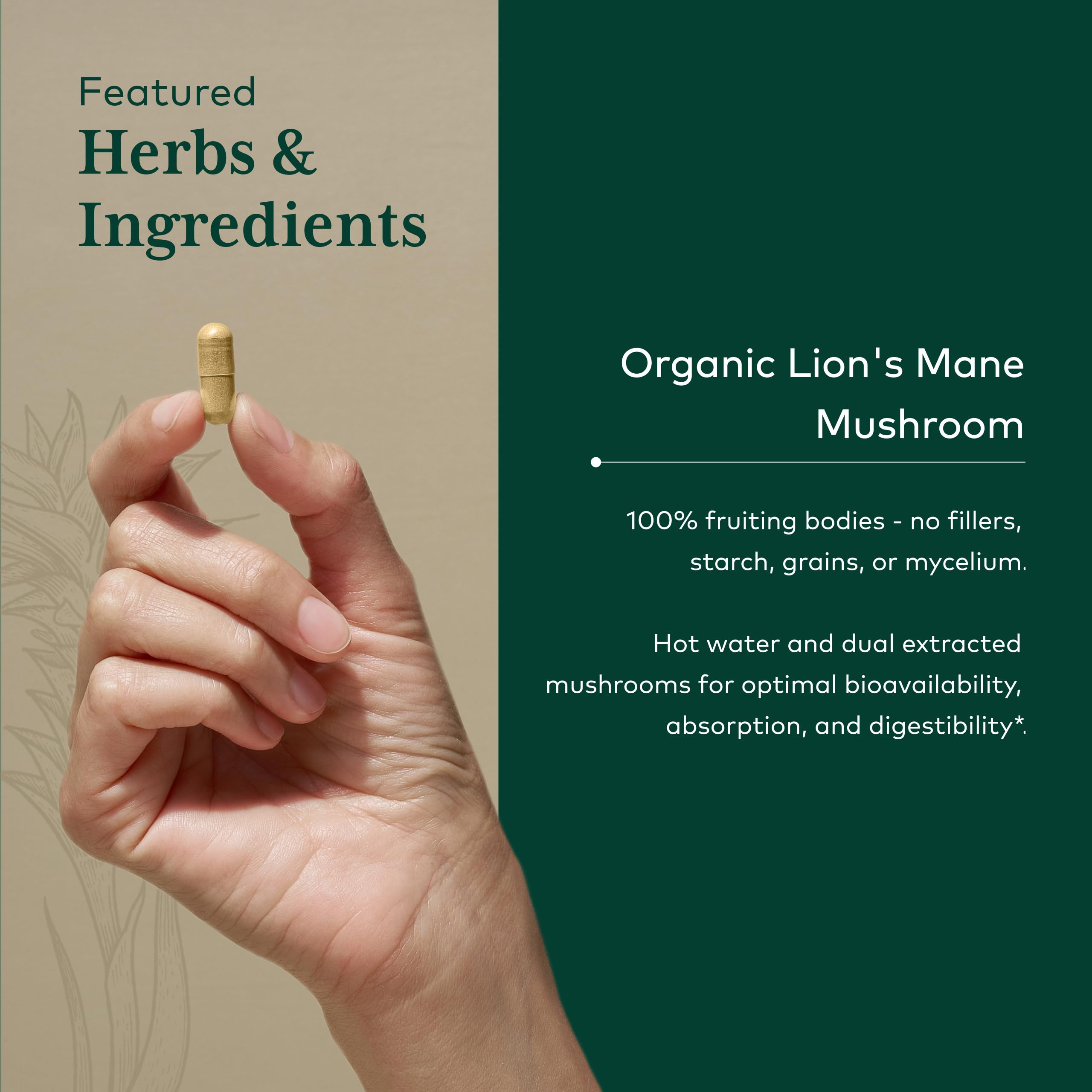 Gaia Herbs PRO Lion’s Mane Mushroom Supplement bottle side view