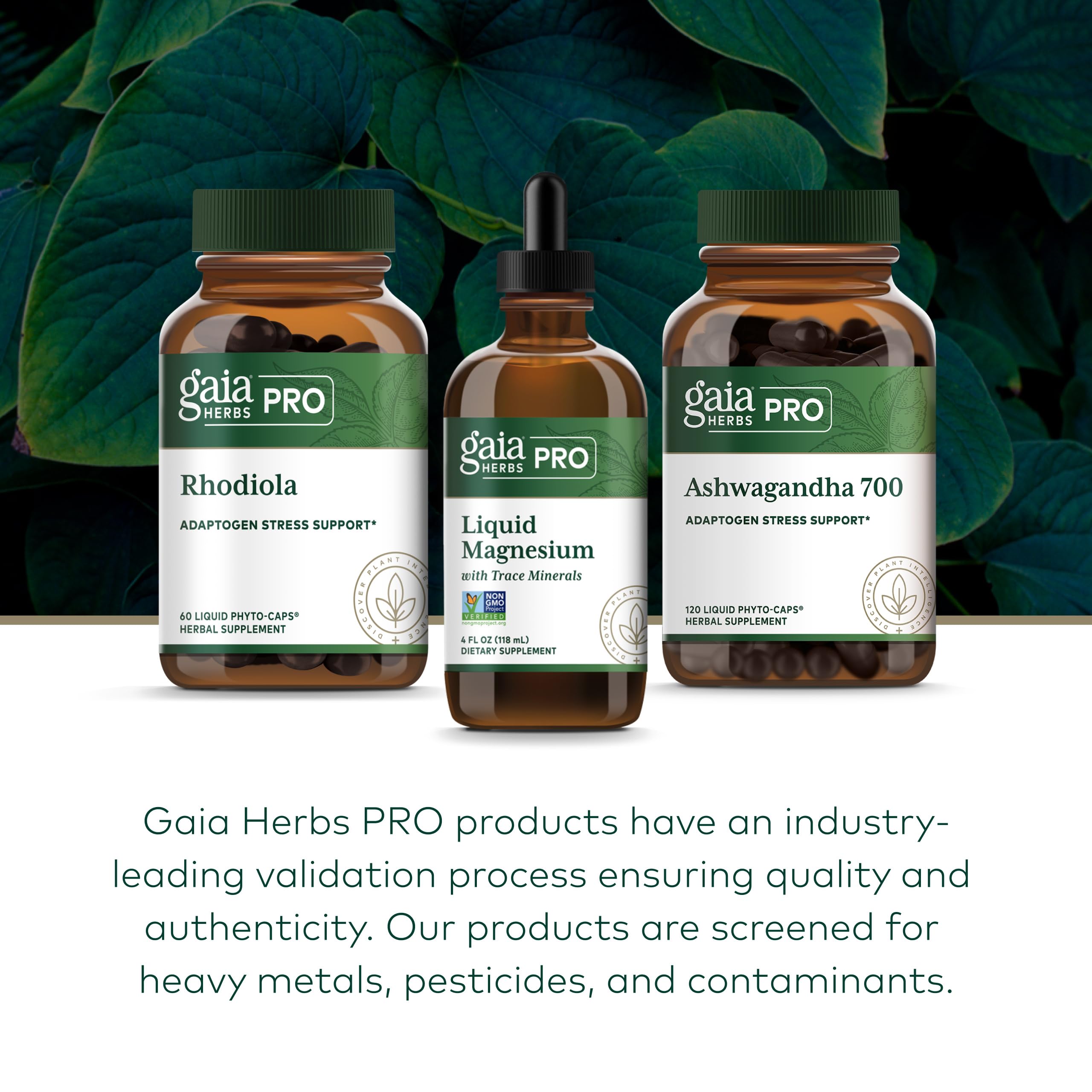 Gaia Herbs PRO Liquid Magnesium with Trace Minerals with measuring spoon