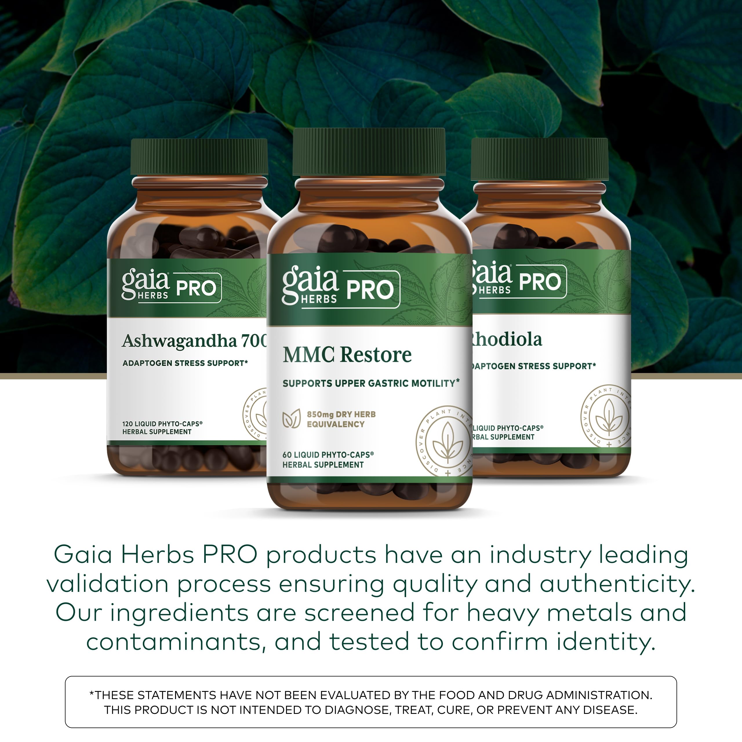 Gaia Herbs PRO MMC Restore Turmeric Supplement lifestyle shot