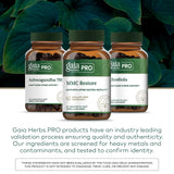 Gaia Herbs PRO MMC Restore Turmeric Supplement lifestyle shot