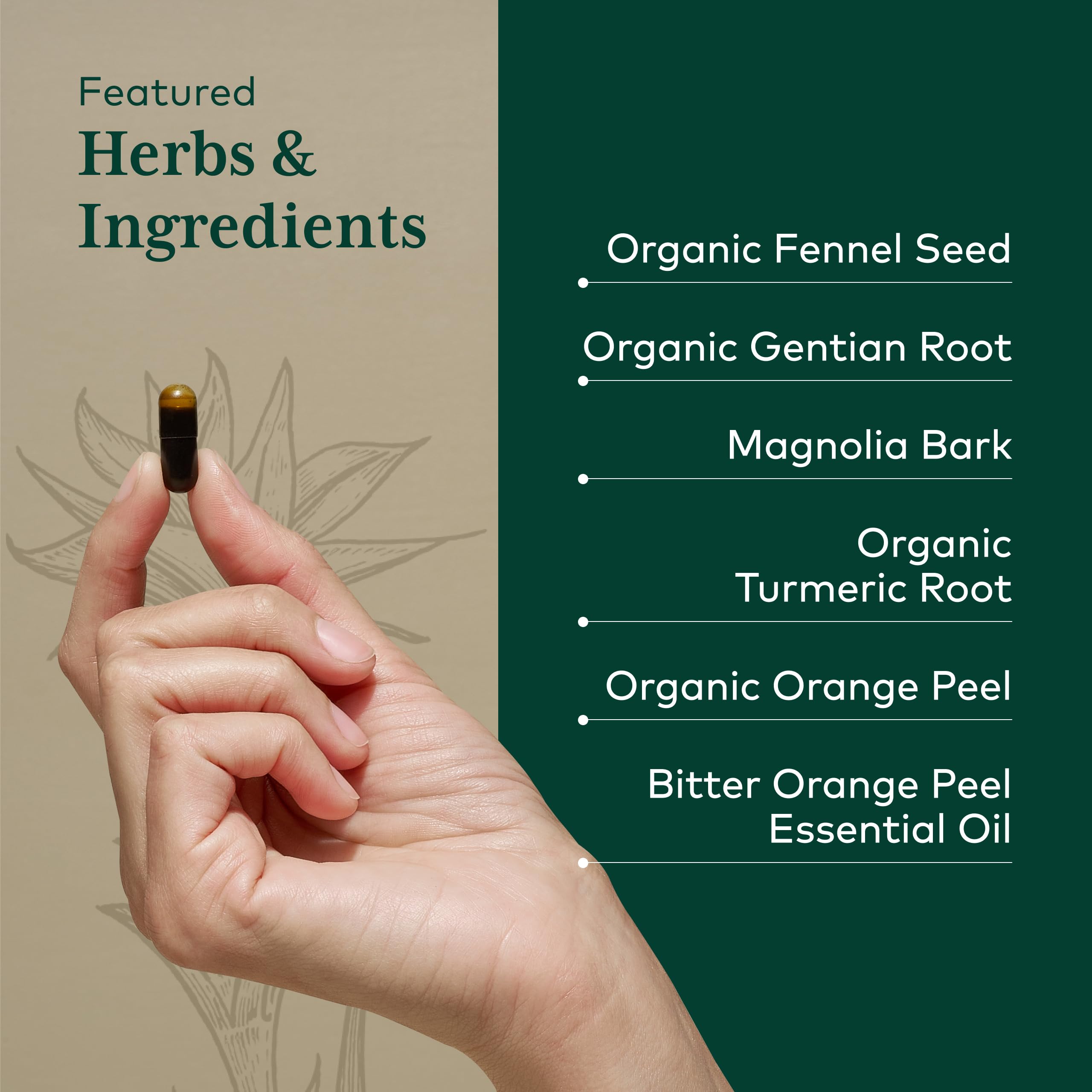 Gaia Herbs PRO MMC Restore Turmeric Supplement packaging