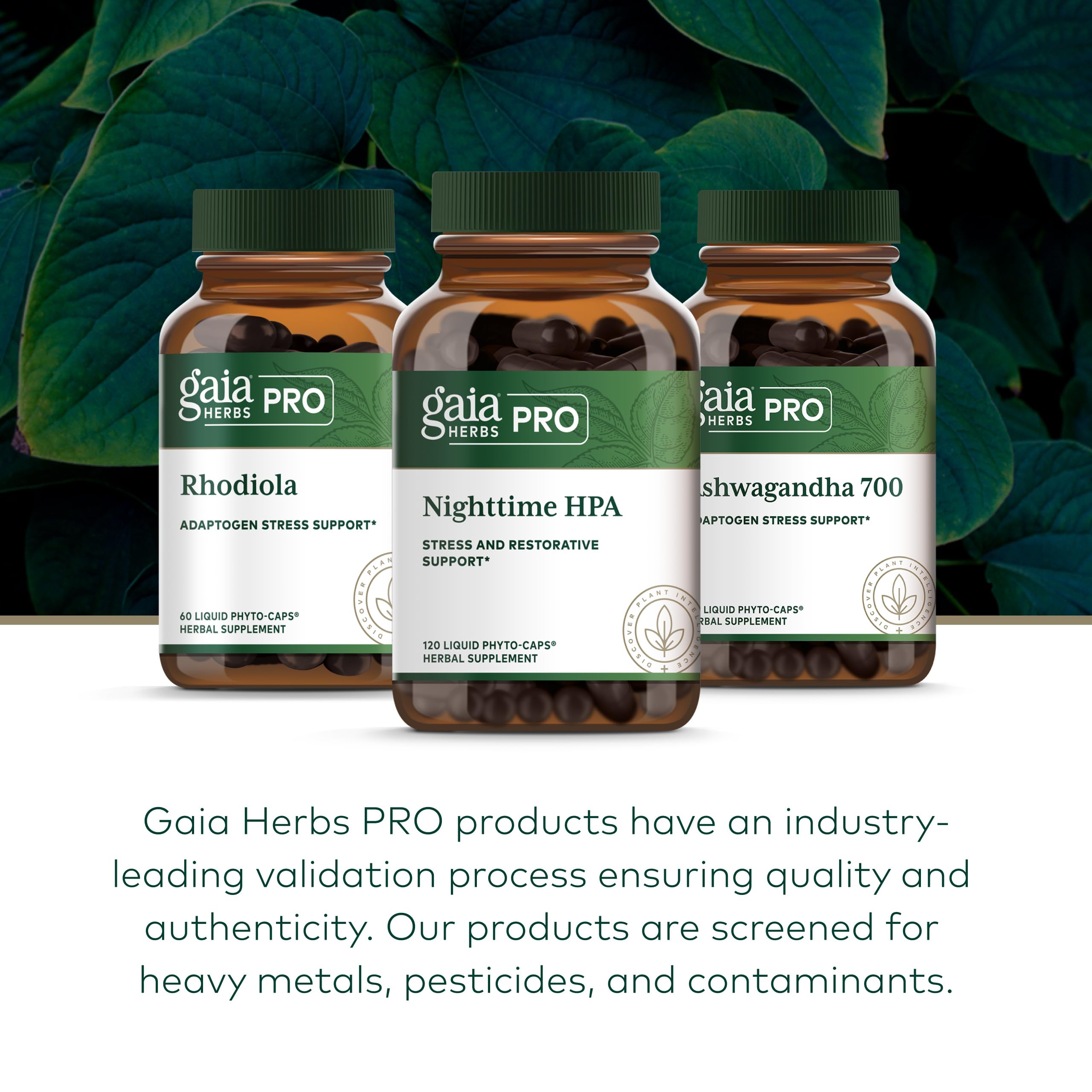 GAIA HERBS PRO Nighttime HPA capsules in hand