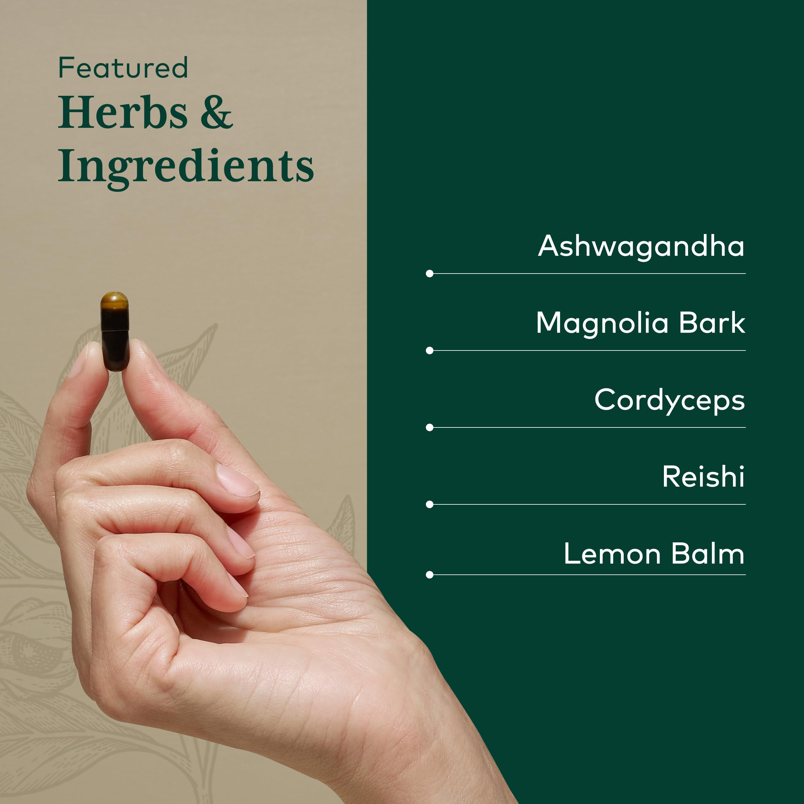 GAIA HERBS PRO Nighttime HPA ingredients list