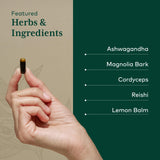 GAIA HERBS PRO Nighttime HPA ingredients list