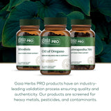 Gaia Herbs PRO Oil of Oregano 230mg supplement capsules in hand