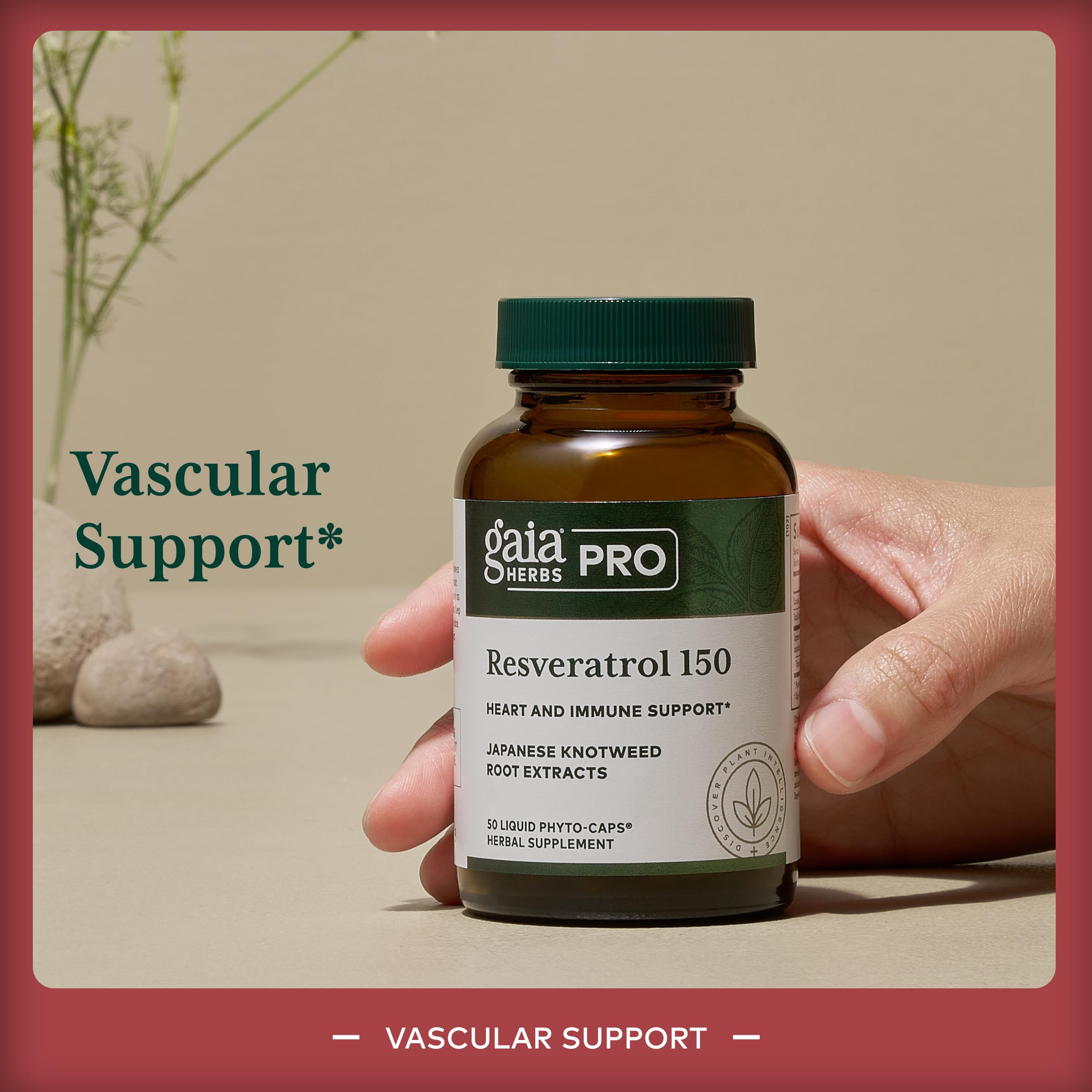 Gaia Herbs Pro Resveratrol 150 mg supplement capsule close-up