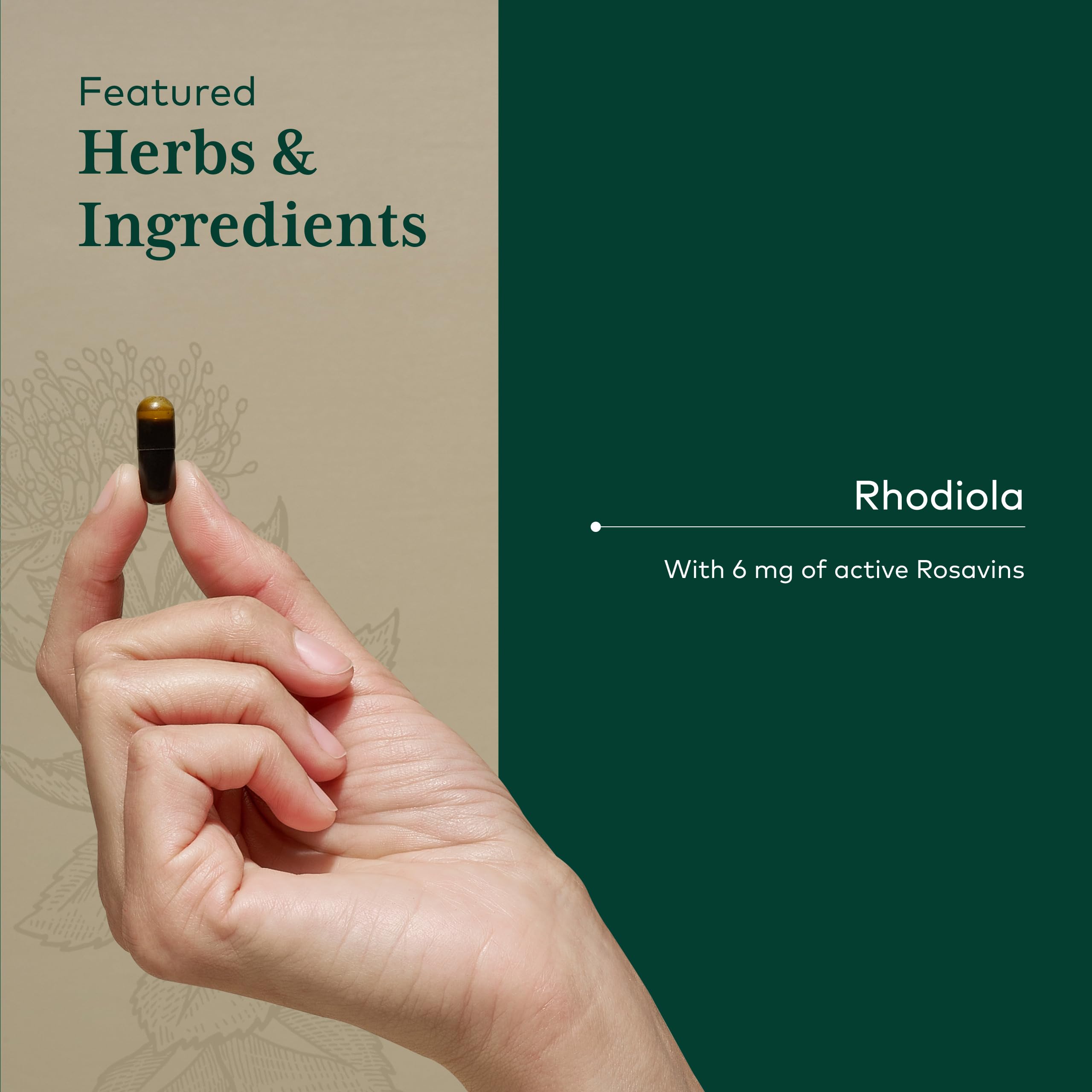 Gaia Herbs PRO Rhodiola Adaptogen Supplement 120mg capsule close-up