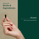 Gaia Herbs PRO Rhodiola Adaptogen Supplement 120mg capsule close-up