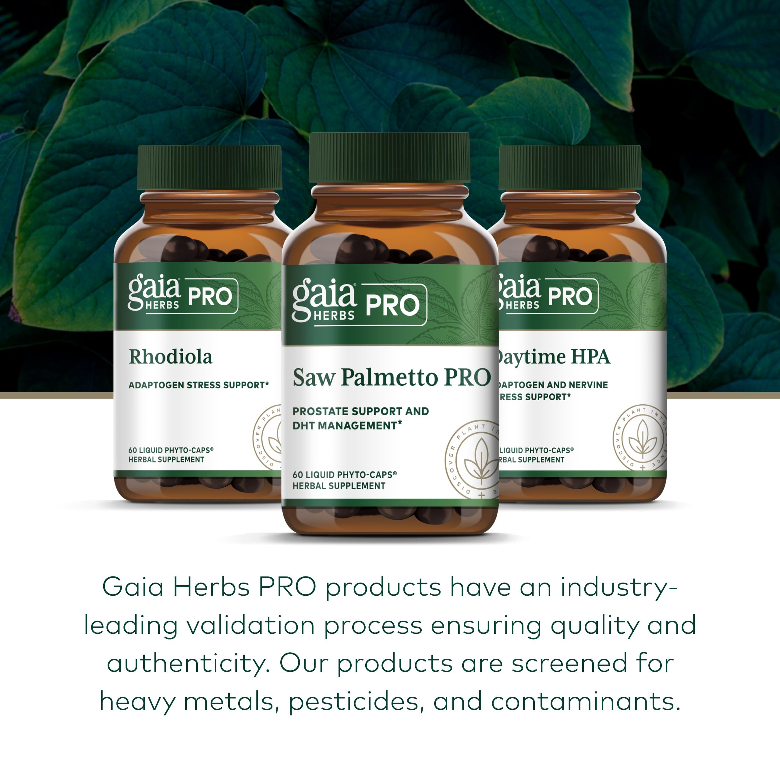 Gaia Herbs PRO Saw Palmetto Supplement label with dosage