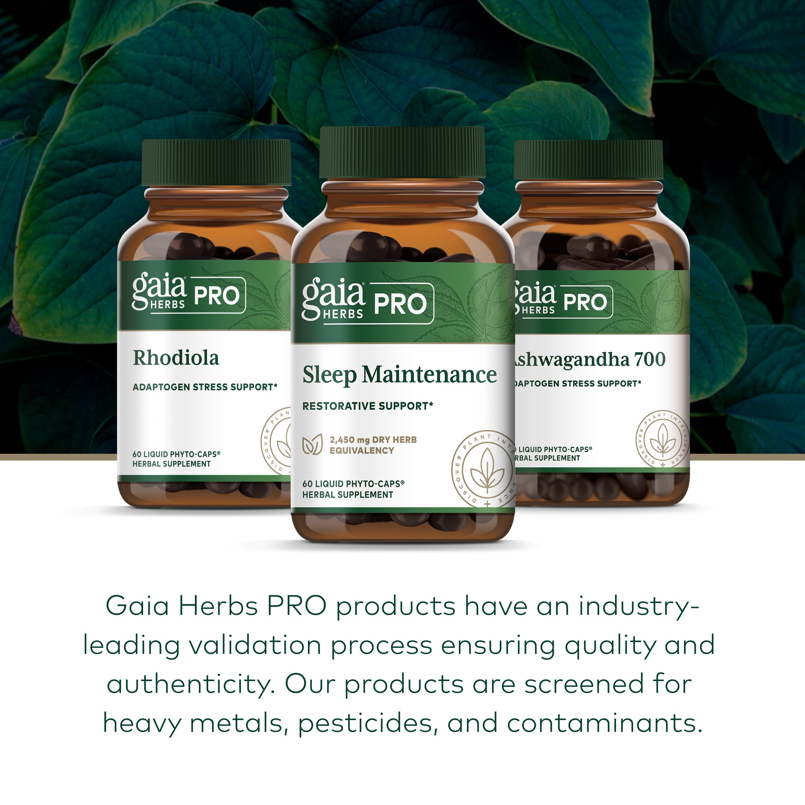 Gaia Herbs PRO Sleep Supplement on a wooden table