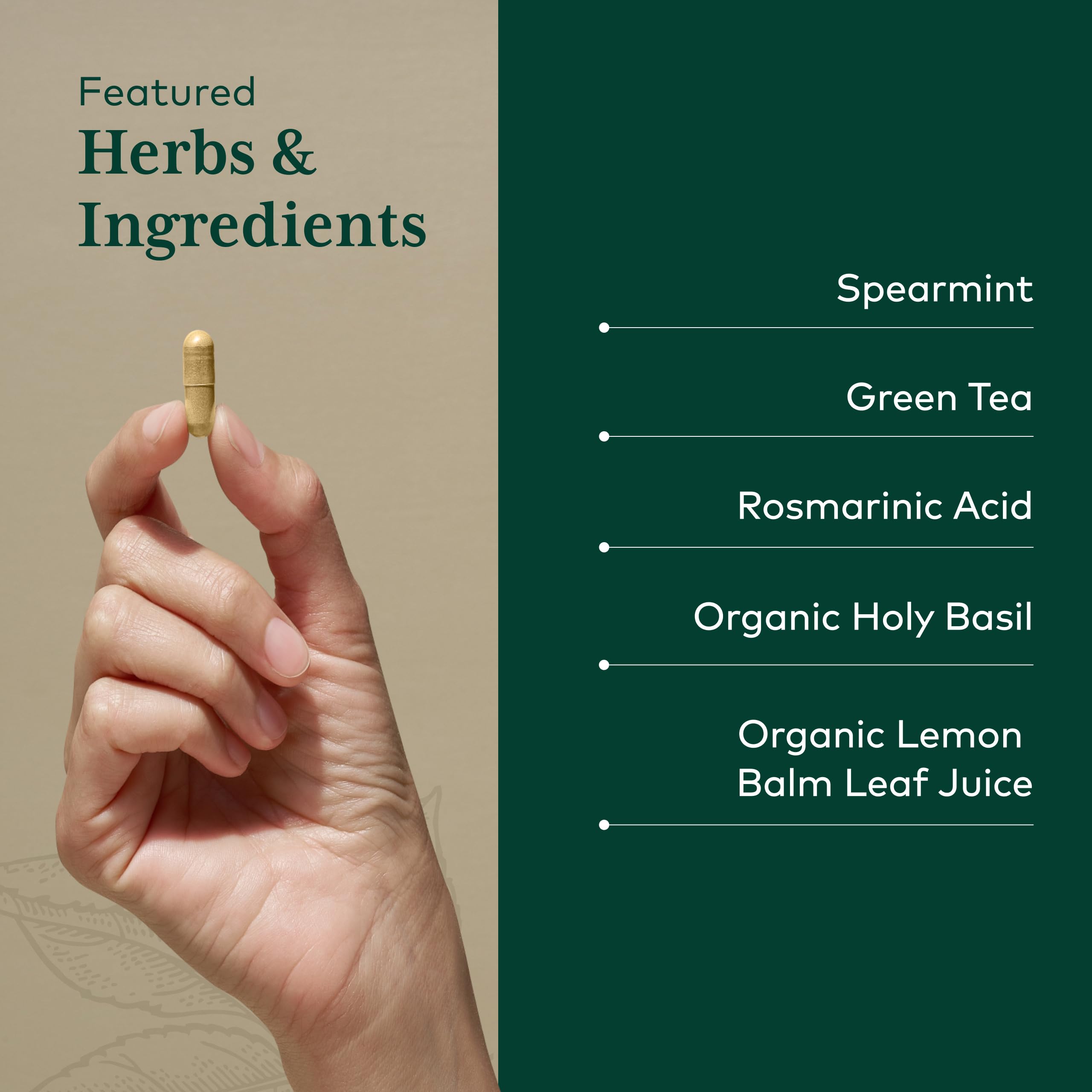 Gaia Herbs PRO Somni-Mint Rosmarinic Complex 60 Capsules with packaging