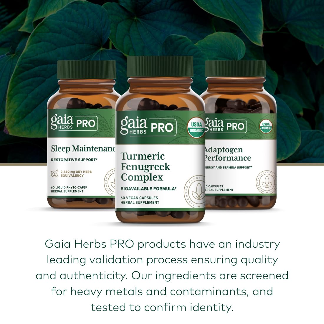 Gaia Herbs PRO Turmeric Fenugreek Complex with measuring spoon
