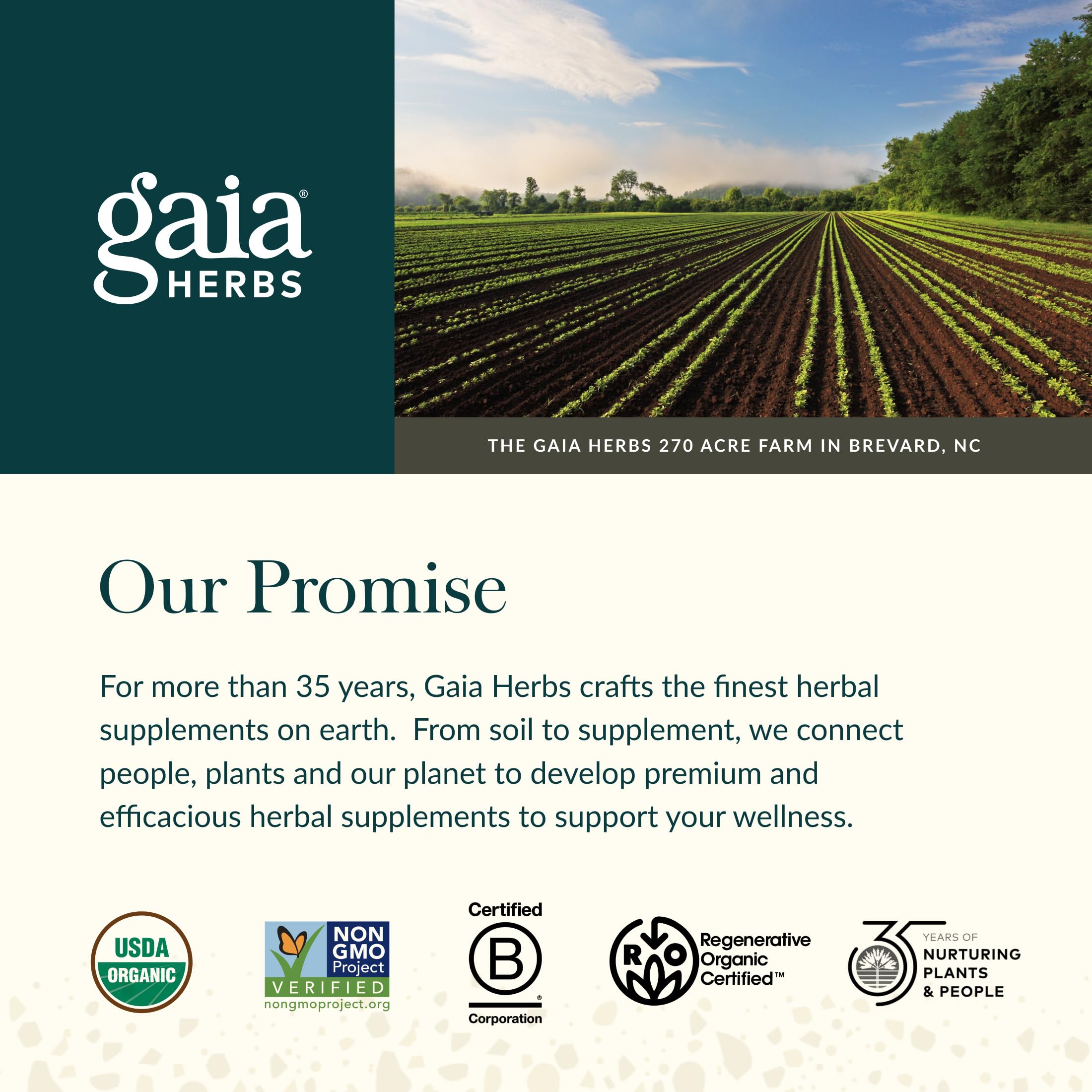 Gaia Herbs Quercetin Synergy supplement bottle on a kitchen counter