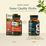 Gaia Herbs Reishi Mushroom Supplement on a wooden table