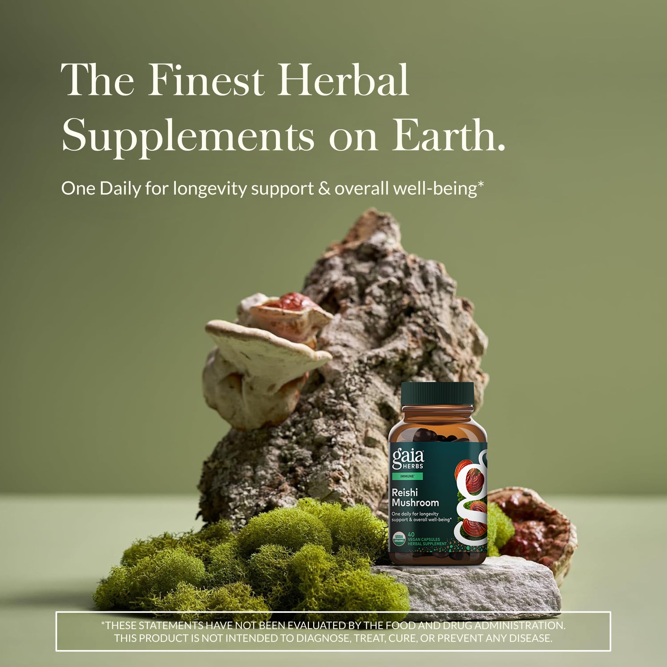 Gaia Herbs Reishi Mushroom Supplement side view showing capsule details