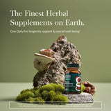 Gaia Herbs Reishi Mushroom Supplement side view showing capsule details