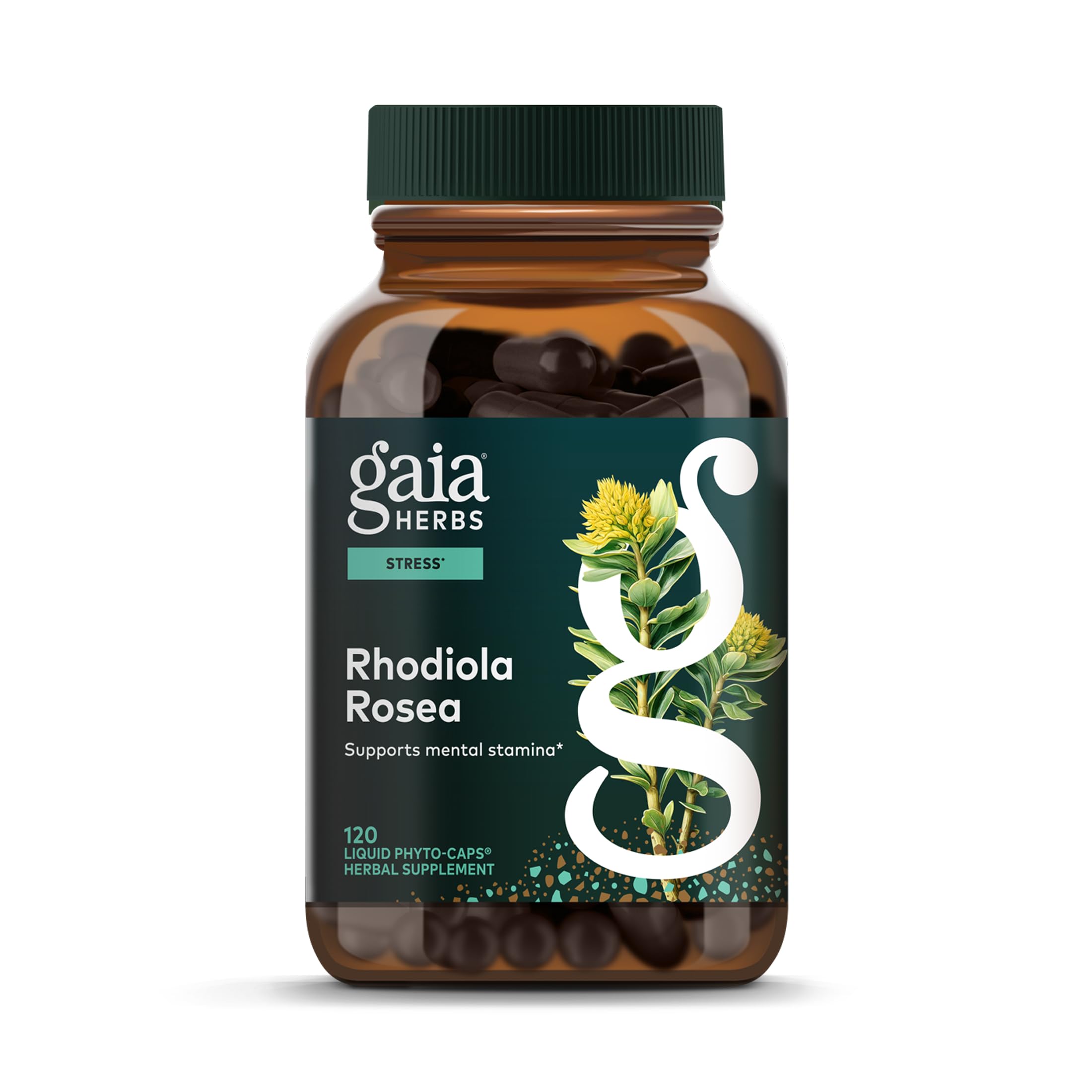 Gaia Herbs Rhodiola Rosea Capsules 120mg front view