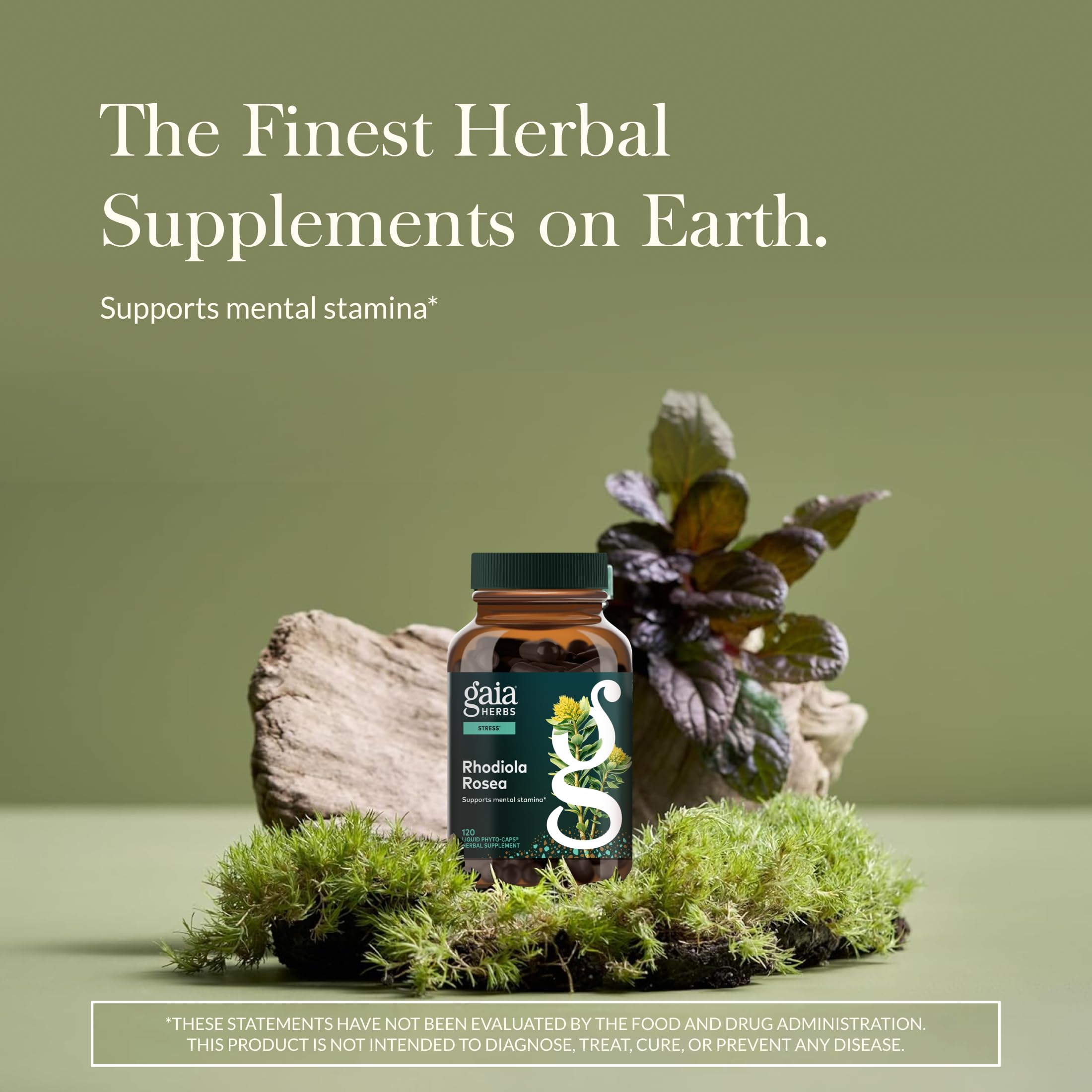 Gaia Herbs Rhodiola Rosea Capsules 120mg side view