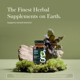 Gaia Herbs Rhodiola Rosea Capsules 120mg side view