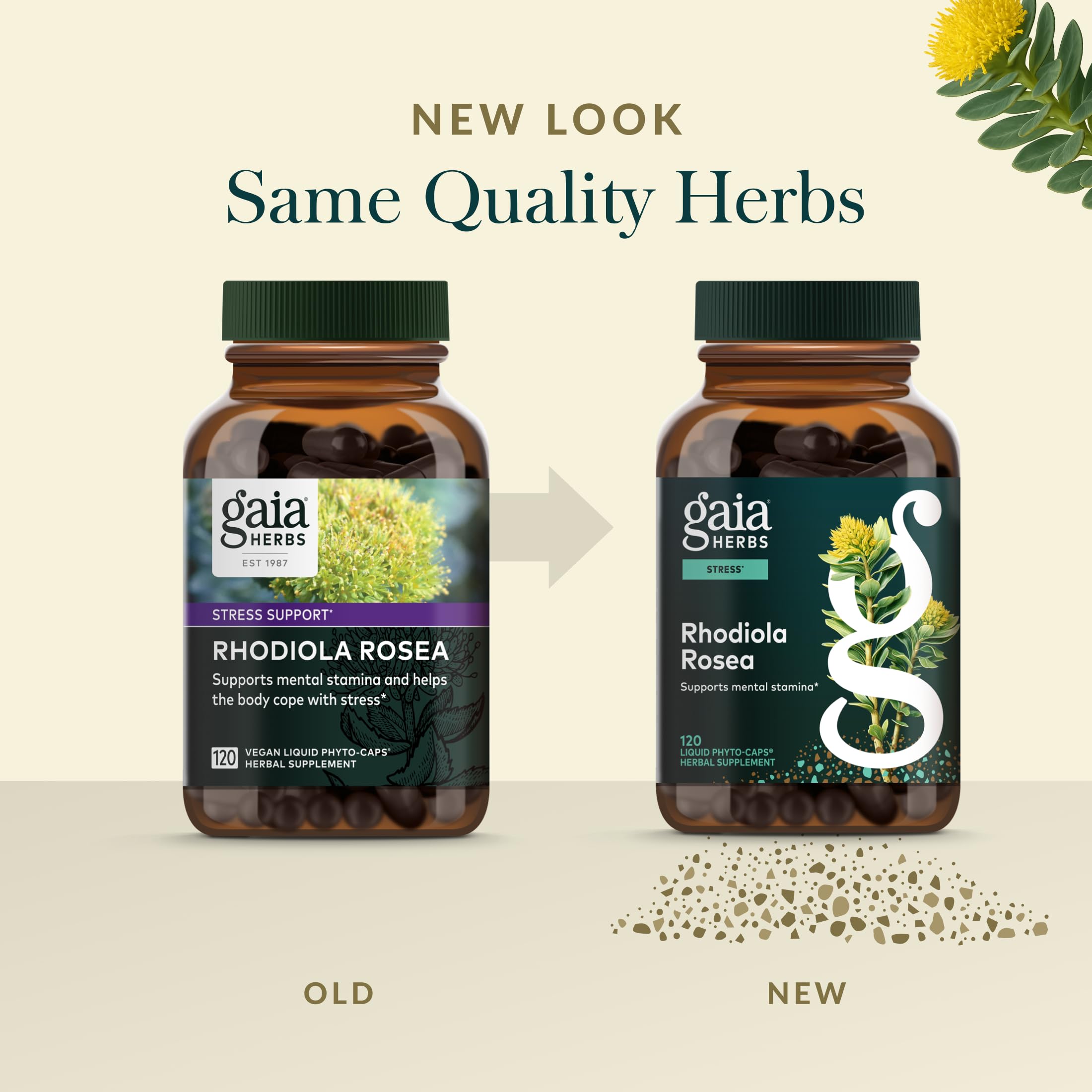 Gaia Herbs Rhodiola Rosea Capsules 120mg with measuring spoon