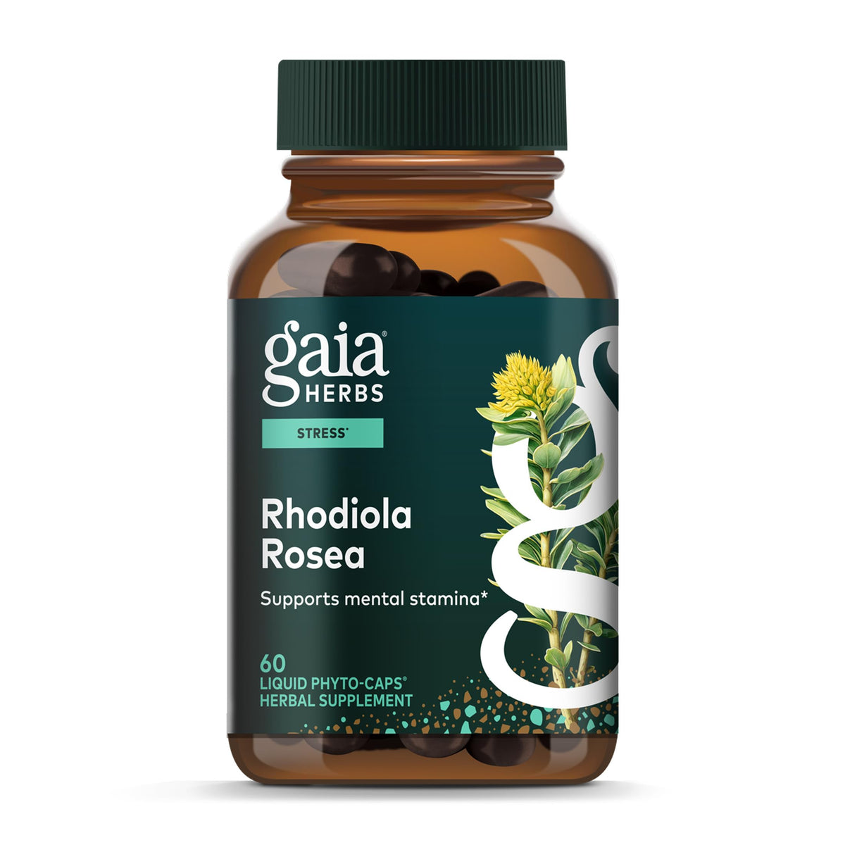 Gaia Herbs Rhodiola Rosea capsules front view