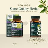 Gaia Herbs Rhodiola Rosea capsules with a glass of water