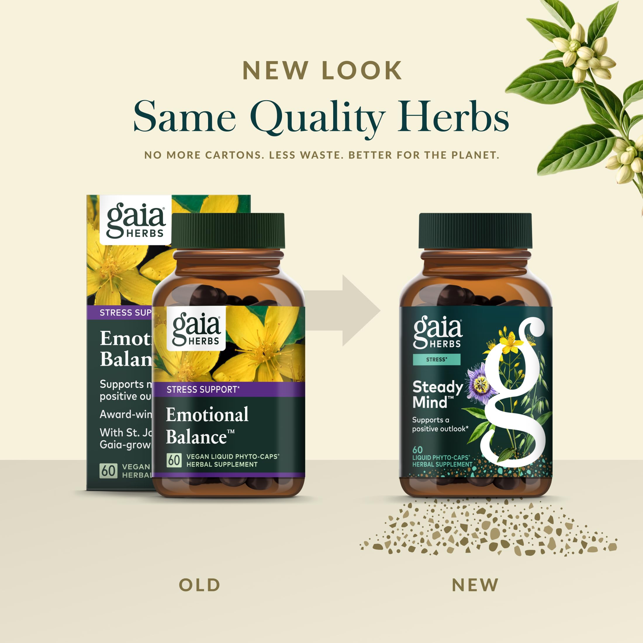 Gaia Herbs Steady Mind St. John's Wort supplement lifestyle scene