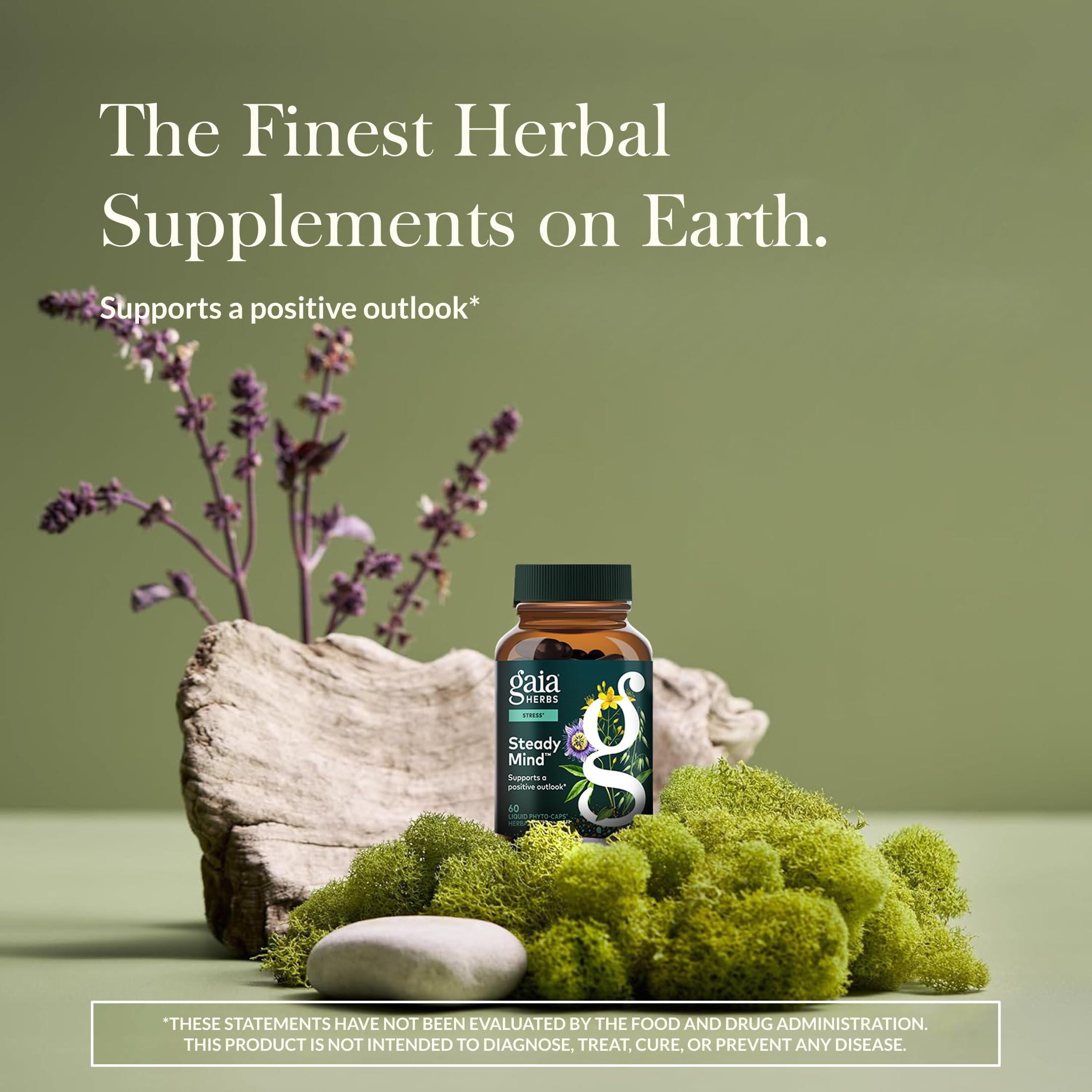 Gaia Herbs Steady Mind St. John's Wort supplement side view