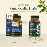 Gaia Herbs Turkey Tail Mushroom Supplement capsules in a clear glass