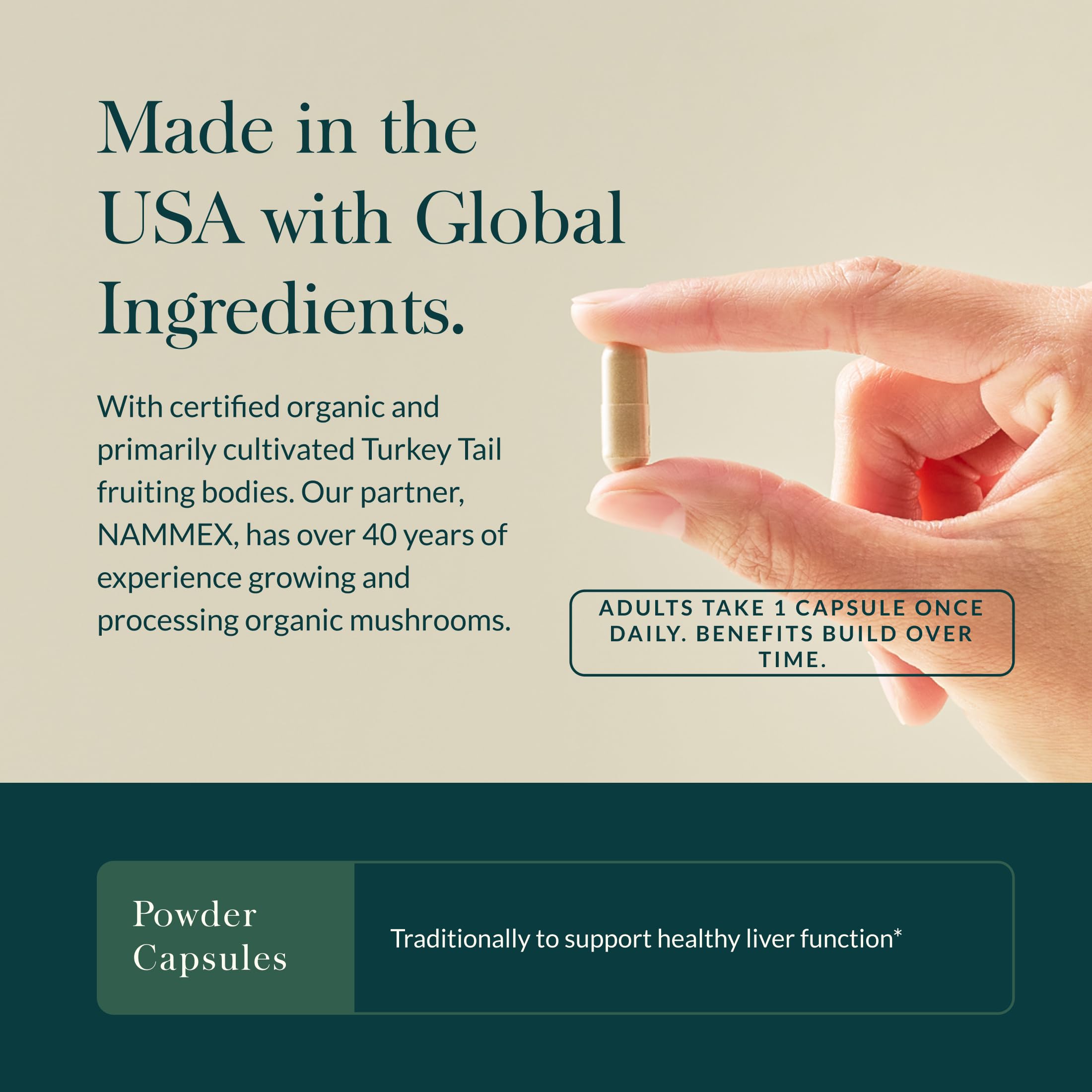 Gaia Herbs Turkey Tail Mushroom Supplement on a wooden table