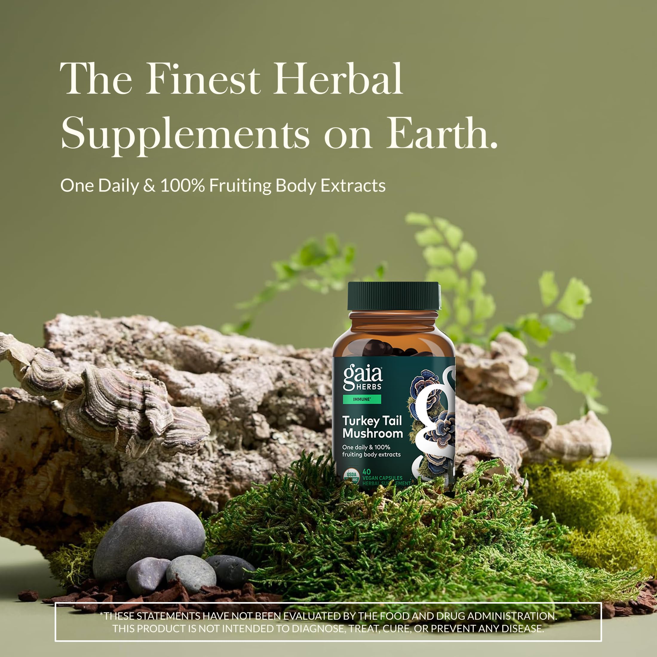 Gaia Herbs Turkey Tail Mushroom Supplement side view, showing capsule details