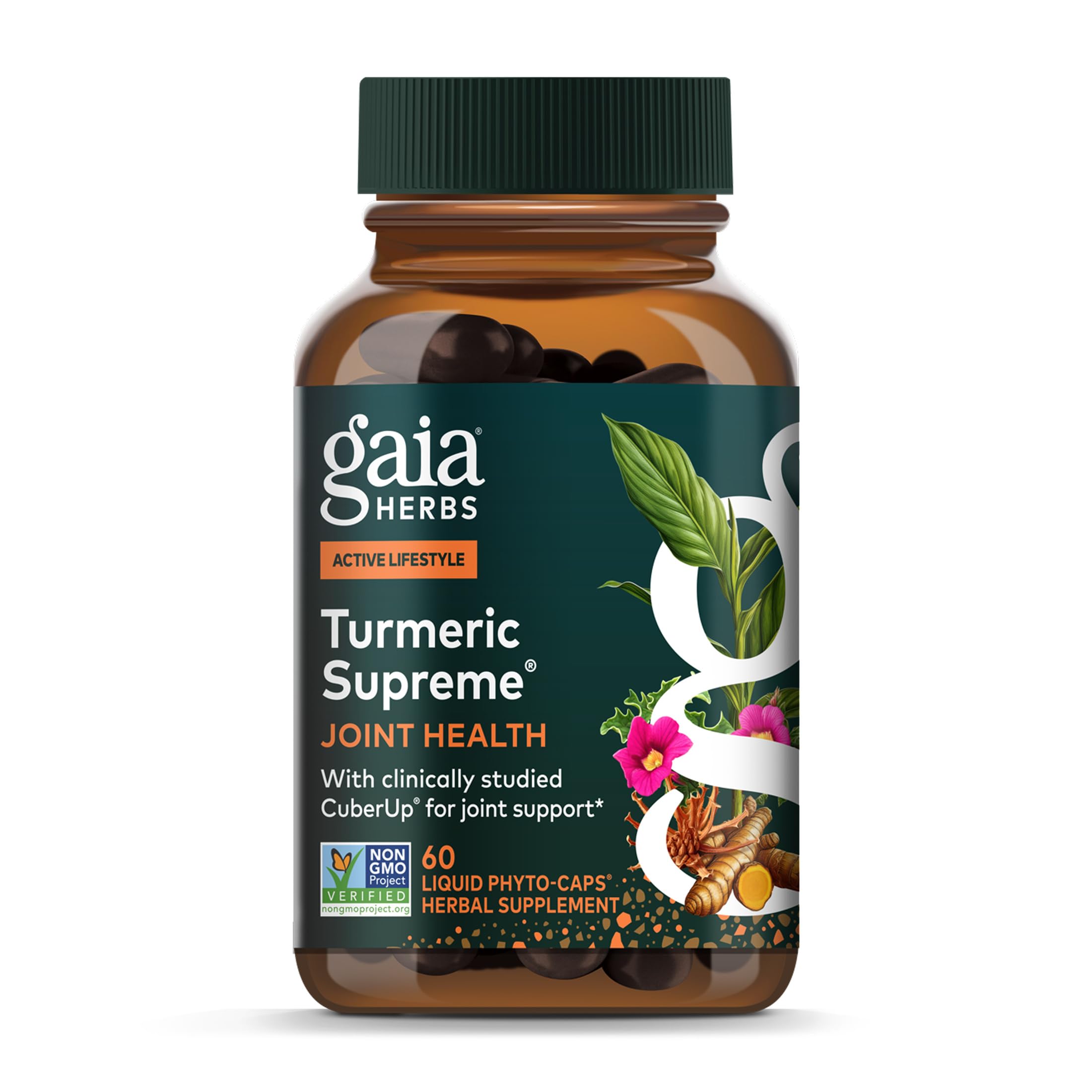 Gaia Herbs Turmeric Curcumin Extract 60 Capsules front view