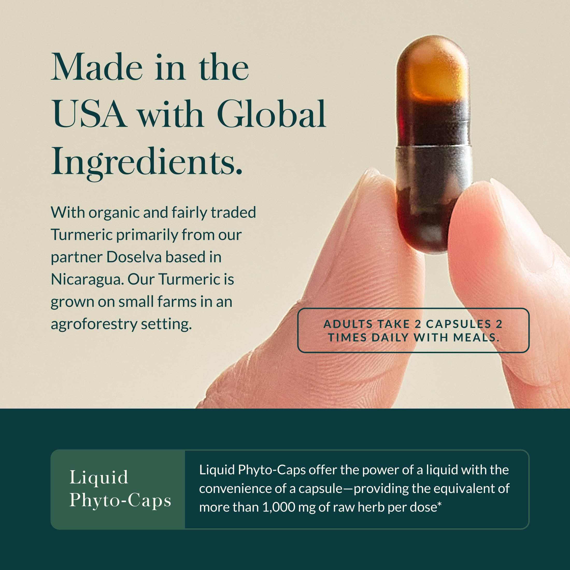 Gaia Herbs Turmeric Curcumin Extract ingredients list