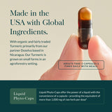 Gaia Herbs Turmeric Curcumin Extract ingredients list