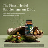 Gaia Herbs Turmeric Extra Strength 240g capsules side view