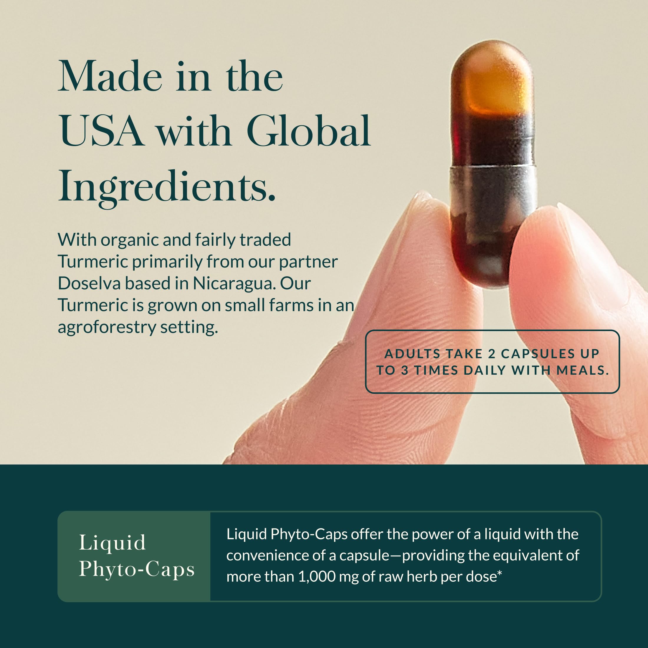 Gaia Herbs Turmeric Pain Relief Capsules in a lifestyle setting