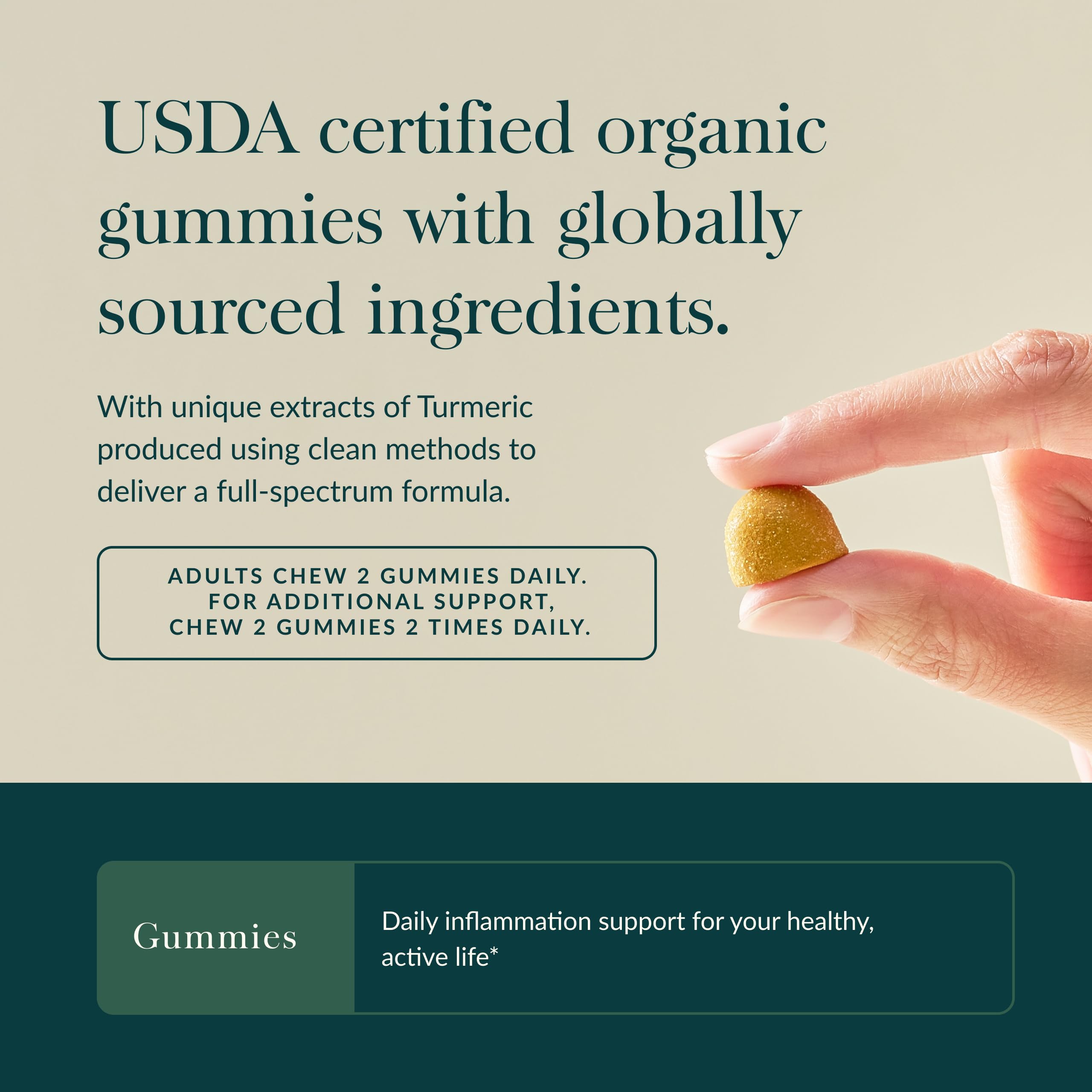 Gaia Herbs Turmeric Supplement ingredients list