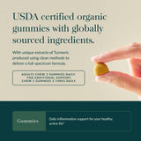 Gaia Herbs Turmeric Supplement ingredients list